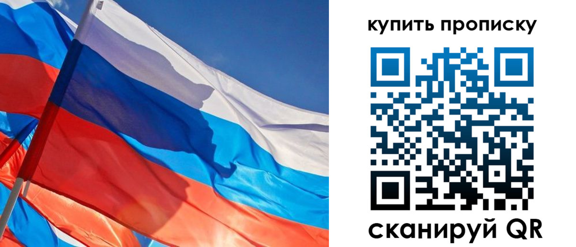 прописка штамп в Вязьме
