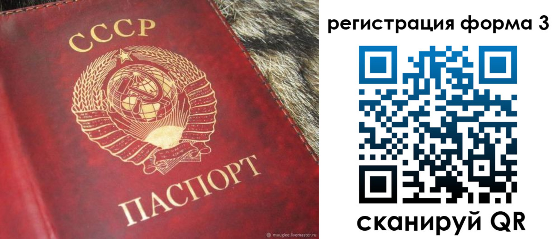 прописка регистрация в Вязьме